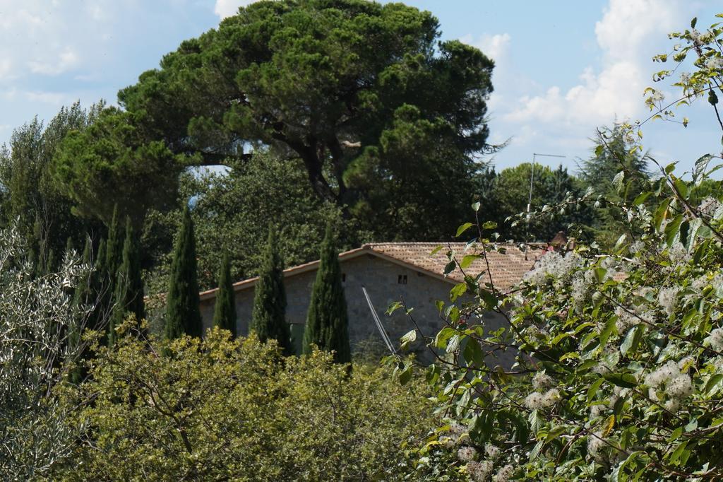 Casa Lucia In Chianti Bed & Breakfast Vagliagli Luaran gambar