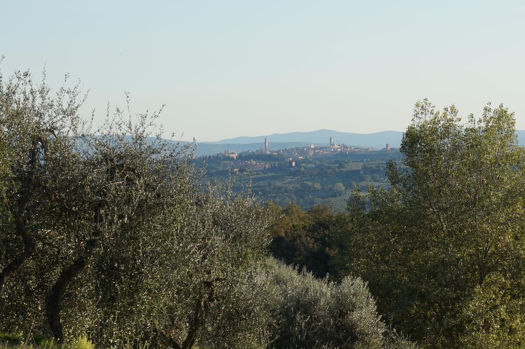 Casa Lucia In Chianti Bed & Breakfast Vagliagli Luaran gambar