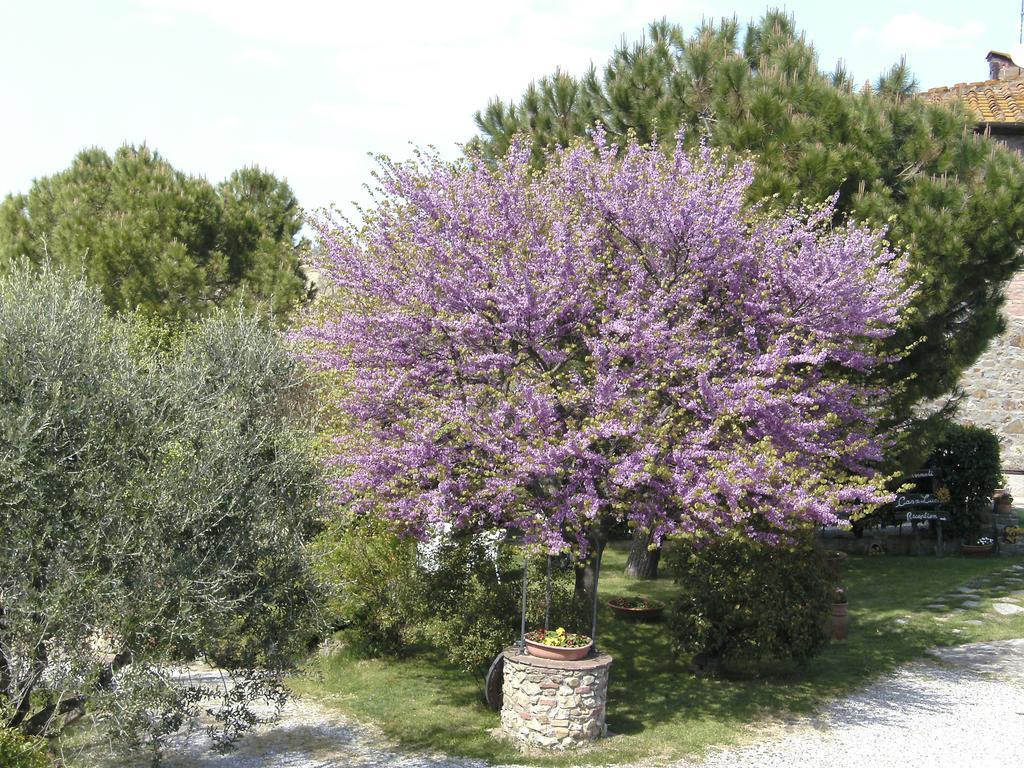 Casa Lucia In Chianti Bed & Breakfast Vagliagli Luaran gambar